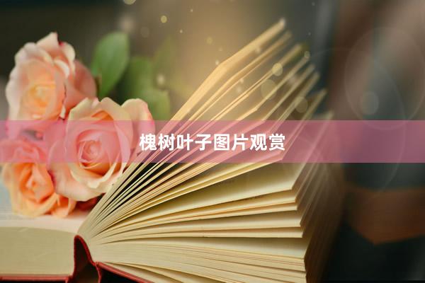 槐树叶子图片观赏